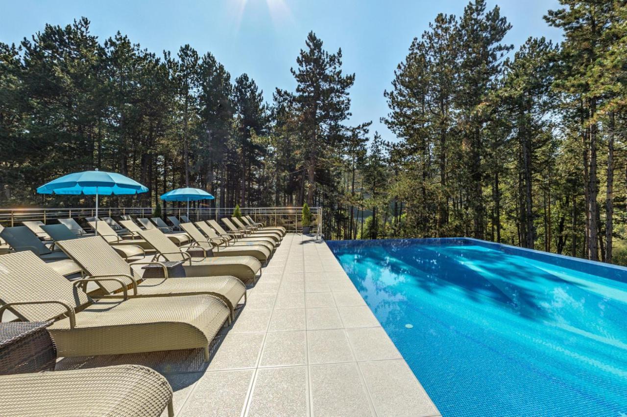 Villa Dea & Villa Ina - Villas & Spa Park In Velingrad Luaran gambar